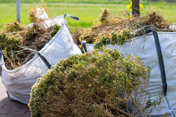 Best Property Management Cleanouts  in Elleale, ND